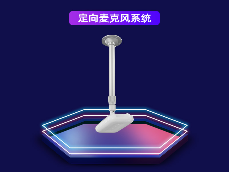 定向麥克風系統(tǒng)